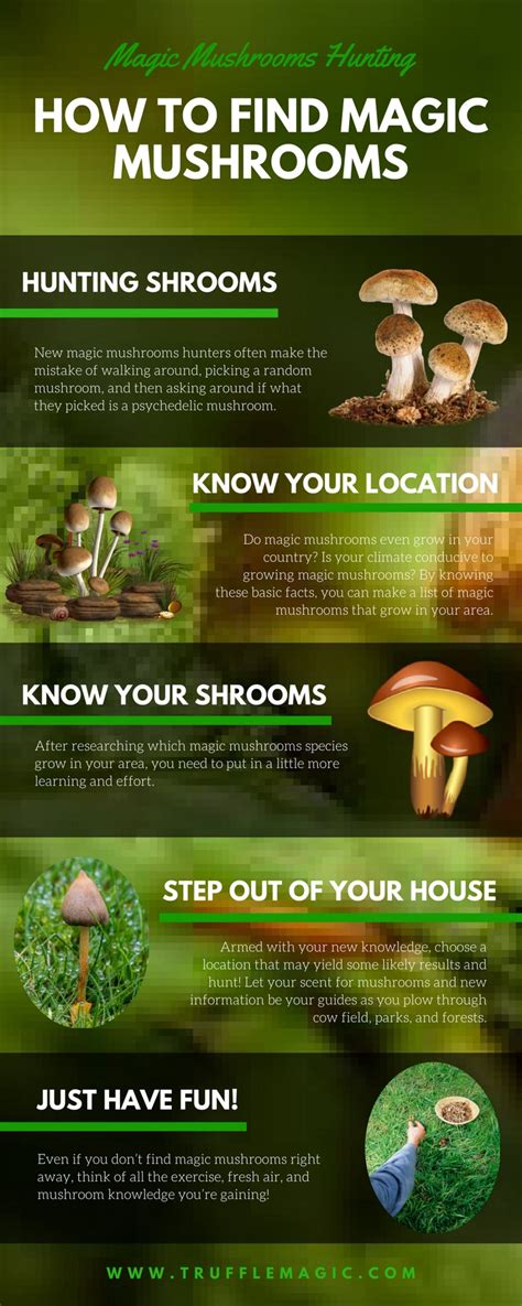 The Science Behind Magic Mushroom Spore Production: Where to Get the Best Spores